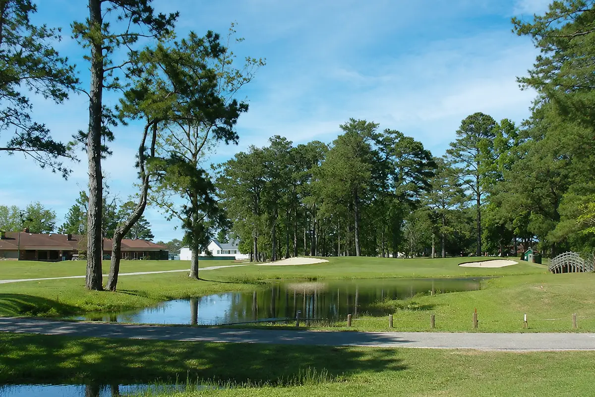 Carolina Pines